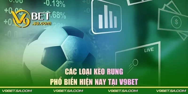Các loại cược rung phổ biến tại V9BET